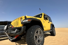 20230401_045231100_iOS