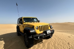 20230401_045242963_iOS