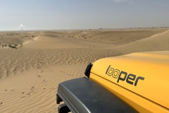 20230401_045349876_iOS