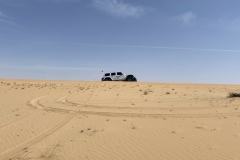 20230415_054700819_iOS